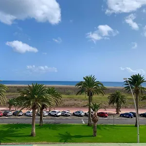 Pinkfloyd Im Palm Garden , Morro Jable (Fuerteventura) España